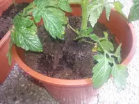 20130623_141420.webp