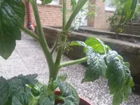 20130623_141349.webp