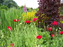 011.webp