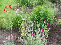 013.webp
