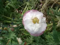 230620131357.webp