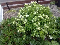 230620131358.webp