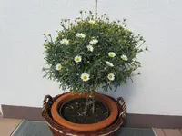 IMG_0197.webp