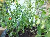 DSCF5116_.webp