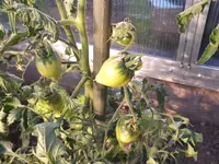 DSCF5148_.webp