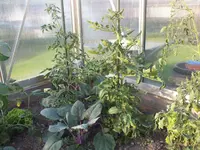 DSCF5149_.webp