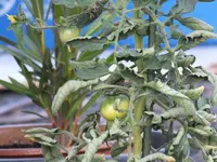 DSCF5180_.webp
