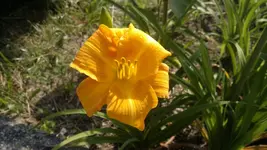 230620131742.webp