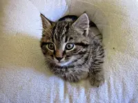 Copy of Copy of IMG_3903.webp