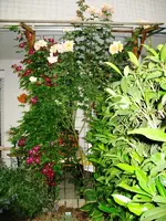 IMG_0056.webp