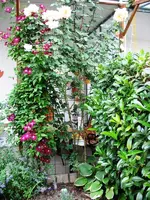 IMG_0052.webp