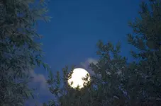 DSC_5793_Mond_21.15_Uhr.webp