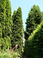 Gartendurchgang.webp Gartendurchgang.webp