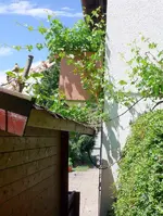 Gartendurchgang1.webp
