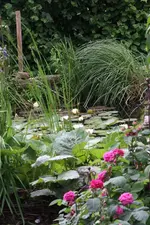 23.06 (5).webp