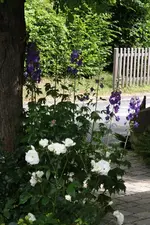 23.06 (37).webp