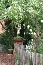 23.06 (7).webp