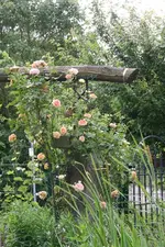 23.06 (8).webp