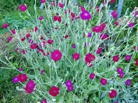 CIMG6740.webp