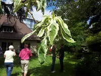 2013-06-23 15.38.14.webp