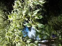 2013-06-23 15.38.31.webp