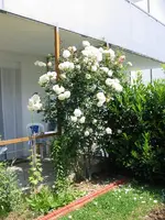 Bilder 010.webp