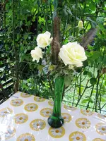 IMG_0515.webp