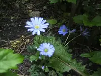 BILD2164.webp