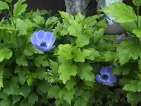 BILD2166.webp