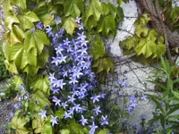 BILD2181.webp