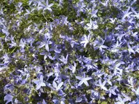 BILD2189.webp