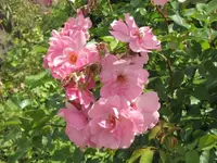 025.webp