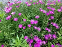 IMG_2057.webp