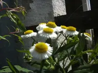 BILD2186.webp