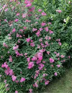 IMG_2048-klein.webp