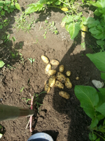 20130624_124530_resized_1.webp