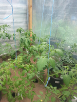 20130624_183905_resized_2.webp