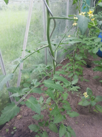 20130624_184020_resized_2.webp