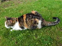 22-06-2013-Mieze_8278.webp
