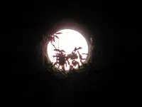 Vollmond_8415.webp