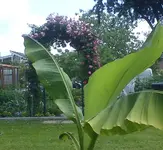 DSC01763 (2).webp