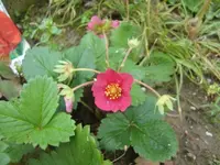 CIMG6848.webp
