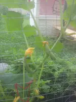 20130625_103254.webp