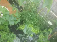 20130625_103325.webp