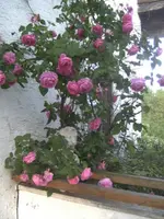 BILD2182.webp
