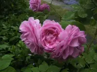 BILD2224.webp