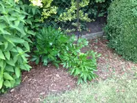 Foto_2.webp