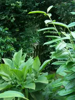 000_0056.webp