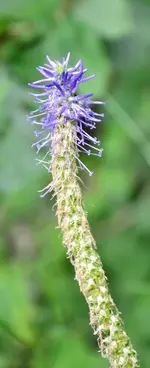 DSC_0350.webp