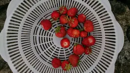 IMG-20130625-WA0001.webp